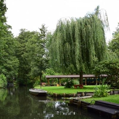 半岛手机综合体育官方下载